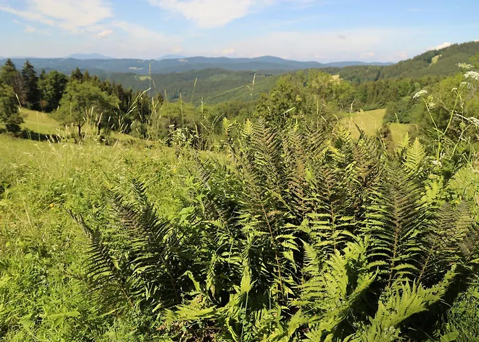 Alpstuga Strckova - Srdce Valasska *